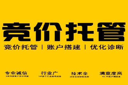 竞价广告的转化率提升策略——案例分享